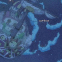 scar tissue