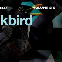 Blackbird (Mike Oldfield Cover)