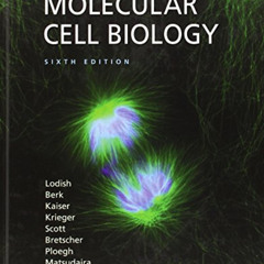 [Download] EPUB 📖 Molecular Cell Biology by  Harvey Lodish,Arnold Berk,Chris A. Kais