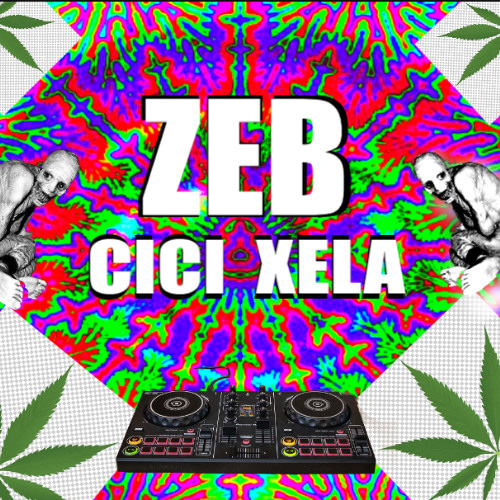 CICI XELA DISOCIATE