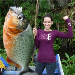 PIRANHA prod draz