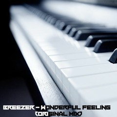 Wonderful Feeling - Breezer Live (Original Mix)