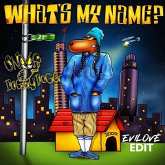 Snoop Dogg - What's My Name (EVILOVE Edit) **FREE DL**