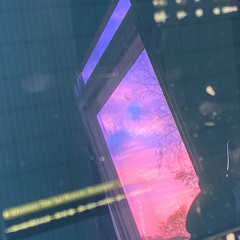 see the sun