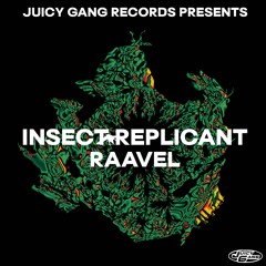 B1. RAAVEL - INSECT REPLICANT