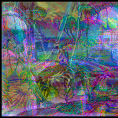 fluctuation 1 55 bpm take 1 21625