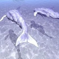 Dream Dolphin - Angelic Conversation [penguinj2 ReMIX]