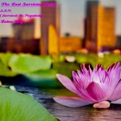 The Last Surviving Lotus