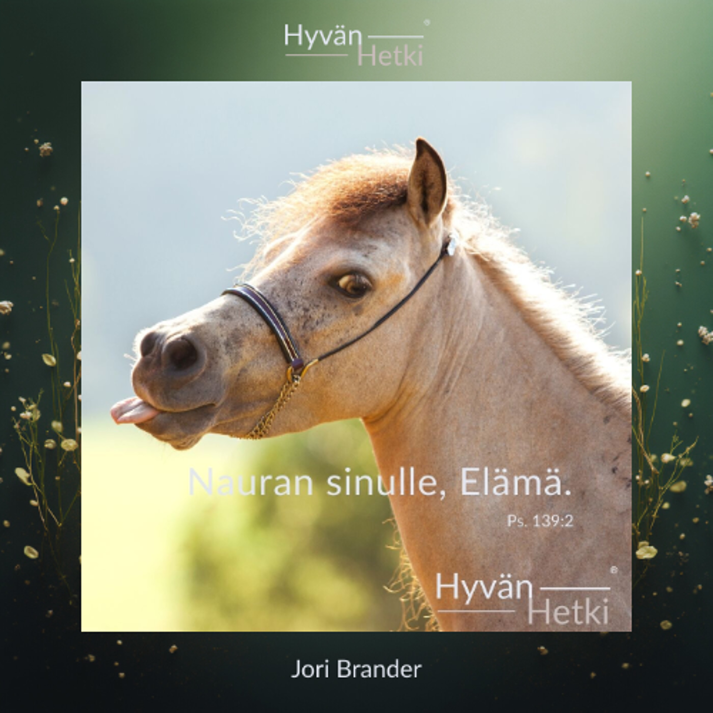 Nauran sinulle, Elämä. (11.01.2026) episode artwork