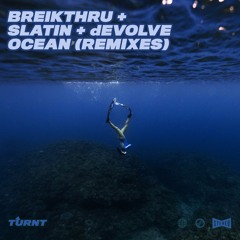 Ocean (dEVOLVE VIP)