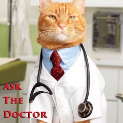 861-Drug Sniffing Dog