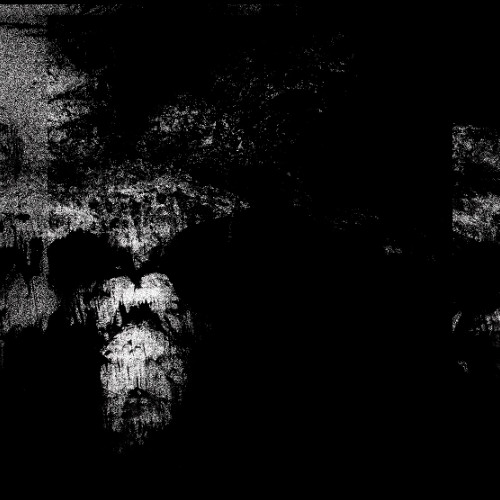 Panaeolus (organic version)