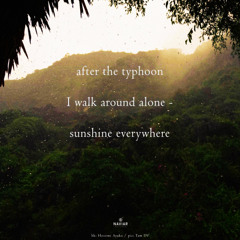 after the typhoon, I walk around alone [naviarhaiku598]