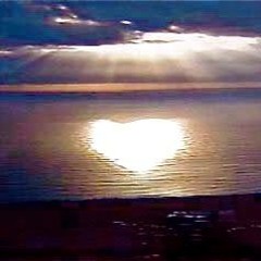 01-pj_harvey-this_mess_we're_in_(mature_remix)[2009]-electrobuzz.net.mp3