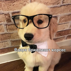 дарк бриллиант корсес - …