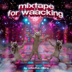 mixtape for waacking