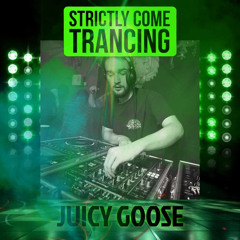 GUEST MIX- JUICY GOOSE- 4X4 FLAVOURS