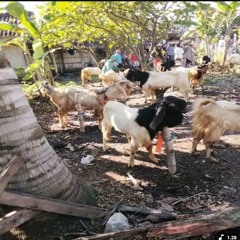 Kaulah Cinta Di Dalam Hidupku-diego delot de costa