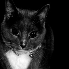 My Cat Is An Alien - Alien Minds - Side B (2005)