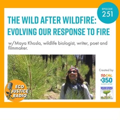 The Wild After Wildfire: Evolving our Response to Fire with Maya Khosla