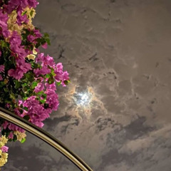 يا أجمل خلايق رب موسى وياسين / نايف الرفيدي