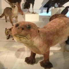 TAXIDERMY