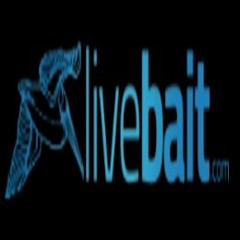 Cast Nets For Fishing, Livebait