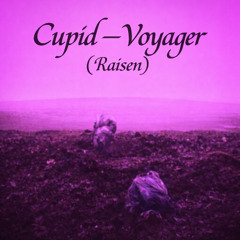 Cupid - Voyager (Raisen)