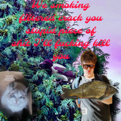 janis varna is the best (get gay with this one)