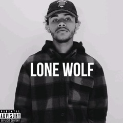 LONELY NIGHTS