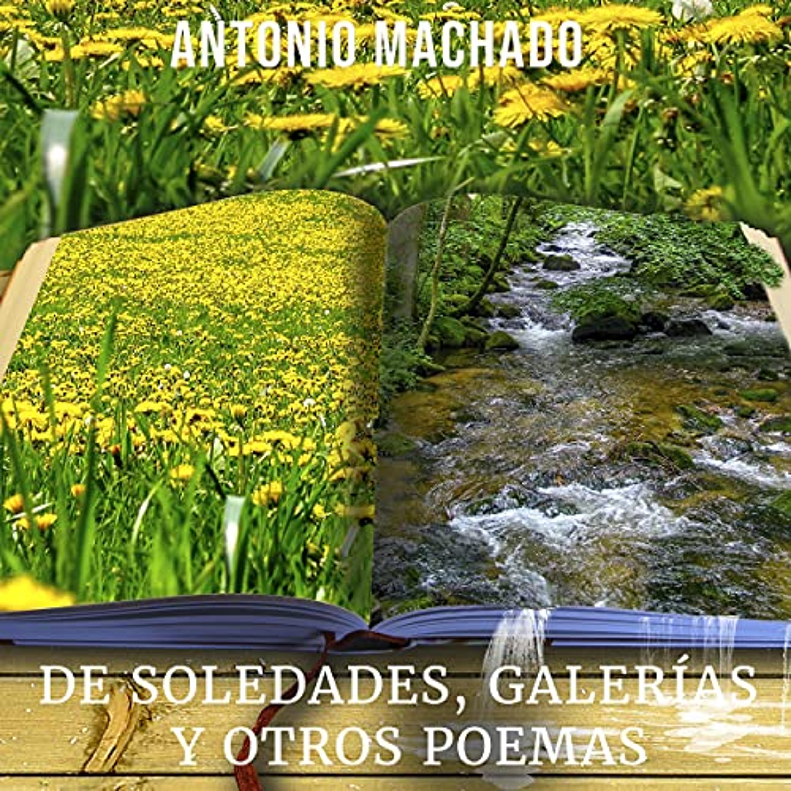 De soledades, galerías y otros poemas (Audiolibro) | Prueba Gratis