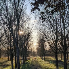 Wish You Were Here Martin And Ian