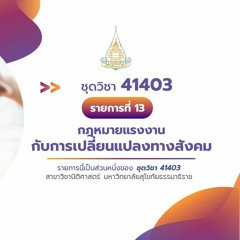 41403 รายการที่ 13 ตอนที่ 3 ปัญหาเกี่ยวกับการจ้างงาน