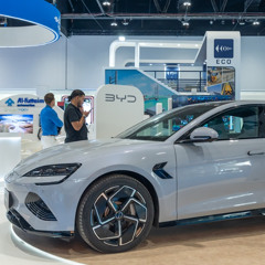 Popularity of EVs and expected slowdown of sales in China (15.1.25)