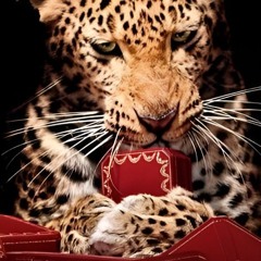 Cartier - Instrumental