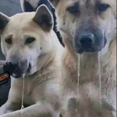 set nhạc dân ca cuối 2025 - remix ( Anh Đức, Duy Đông, Quang Trường, Trung Thành, Dũng Cọt )