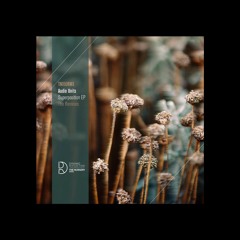 Audio Units - Ancient Manifold (DVM Remix) (Free DL)