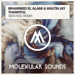 Mhammed El Alami & Waltin Jay - Thankful (Sion Rae Remix)