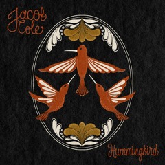 Hummingbird