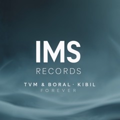 Tvm & Boral Kibil - I Need You (Original Mix)