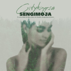 Sengimoja (feat. Bless DeLa Sol, Lusha, Welle SA, Xivulelo, Xongie Bass & Zimvo)