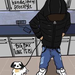 HUNDE FREESTYLE SPED UP (FEAT. YUNGPEPSI)