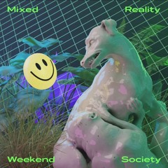 Violetta @Objekt-klein-a - Mixed Reality Weekend Society