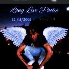 CYT CHRIS - LONG LIVE POOLIE