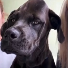 U could tëll - Yeat (intro)