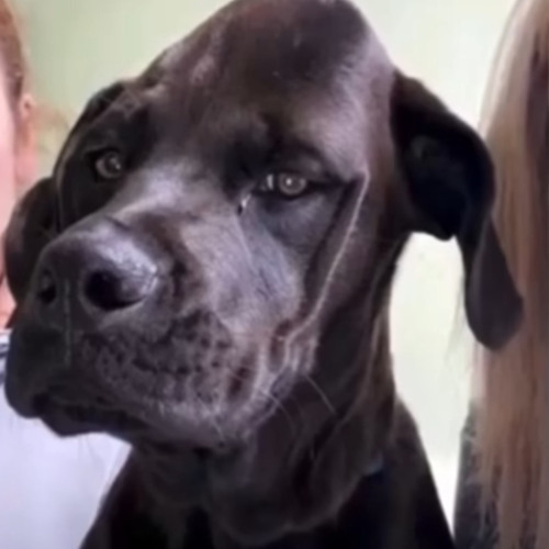 U could tëll - Yeat (intro)