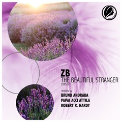 ZB - The Beautiful Stranger (Robert R. Hardy Radio Remix [Consapevole Recordings]