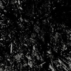 ItzNightmareXz -  Speeded