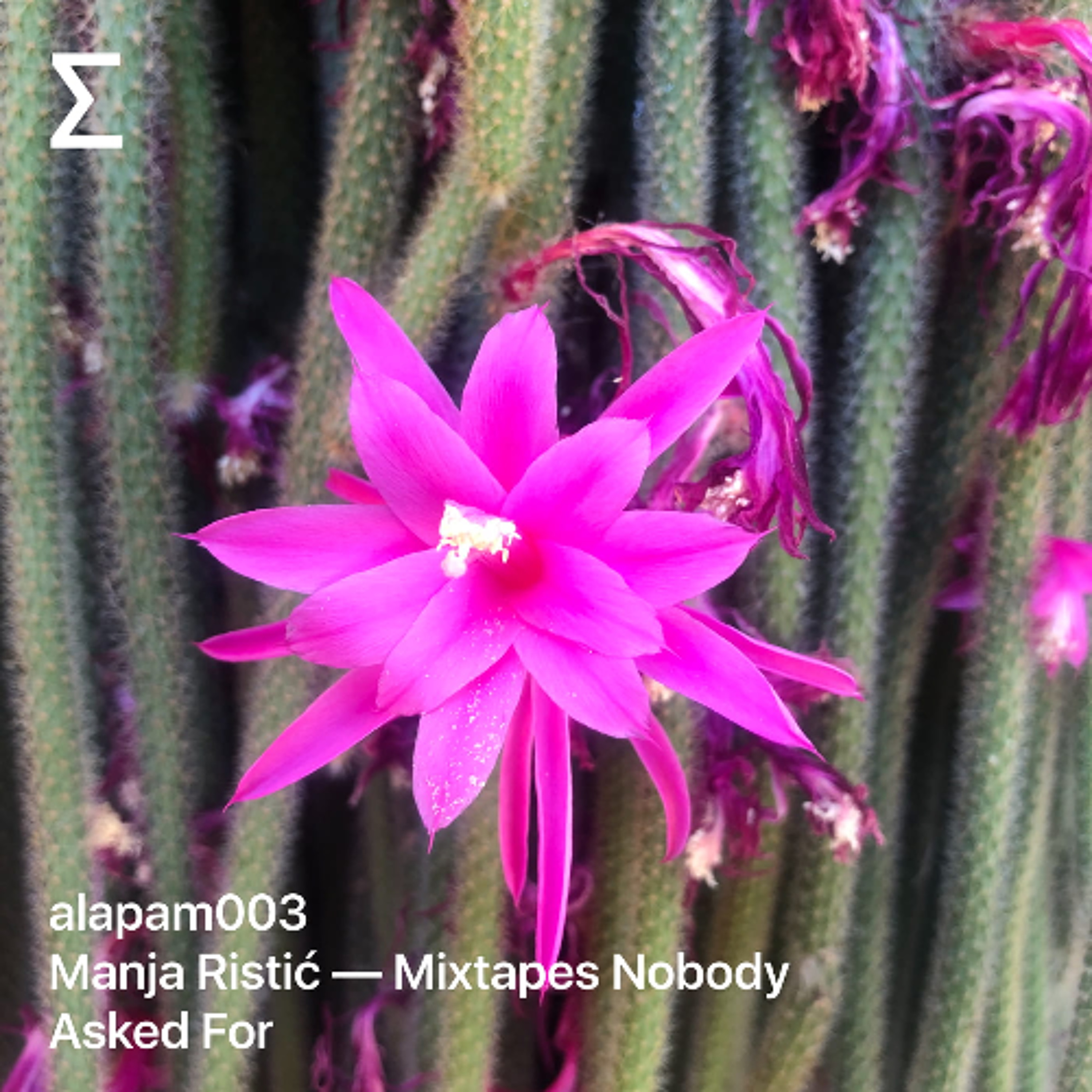 alapam003: Manja Ristić — Mixtapes Nobody Asked For