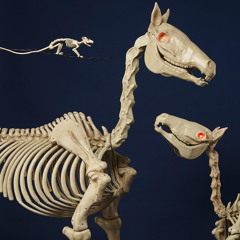 MOH BARETTA - KEEP ON ROLLIN PROD TRIP DIXON